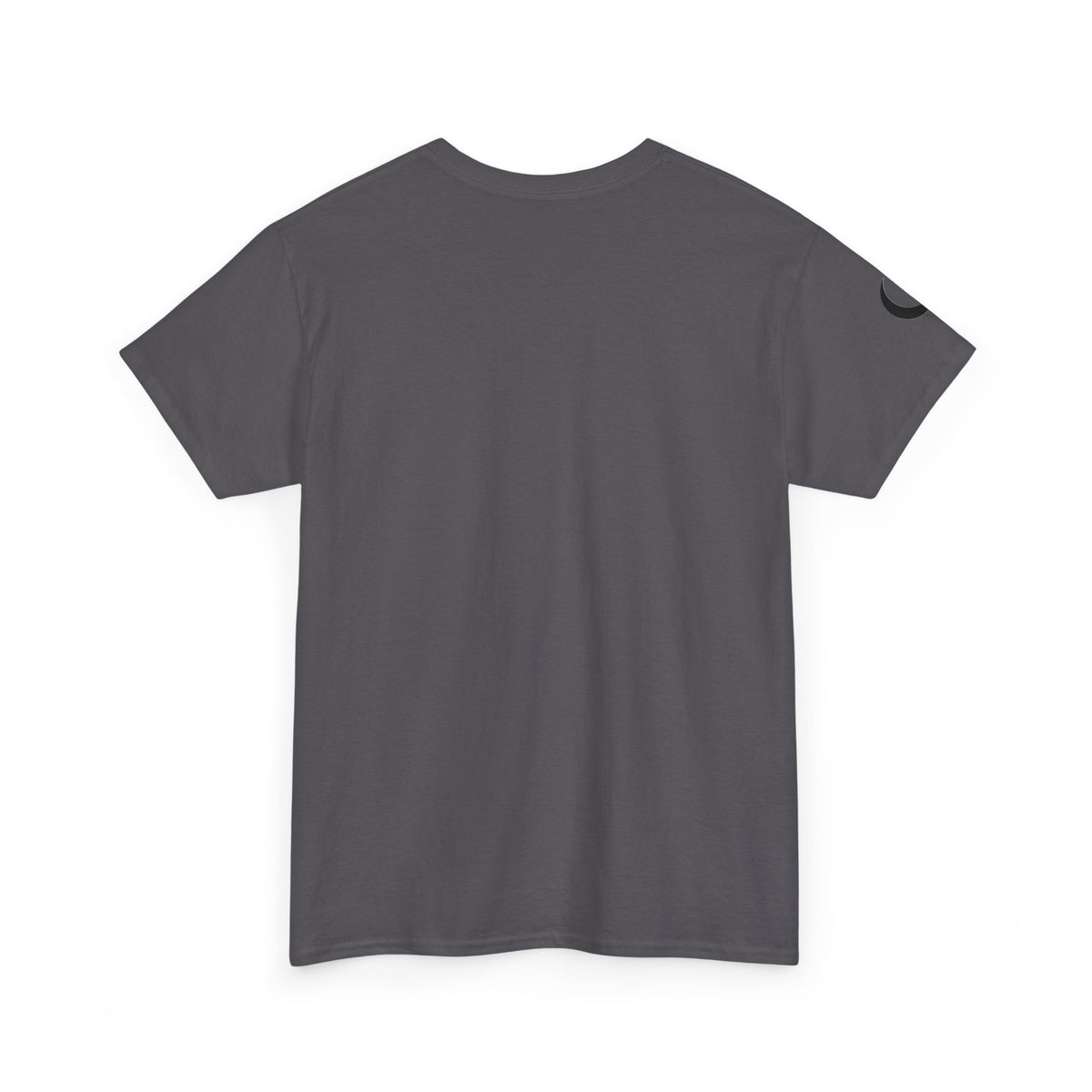 You Are Not Alone — UFO Graphic Tee — Same Moon Sisters product image